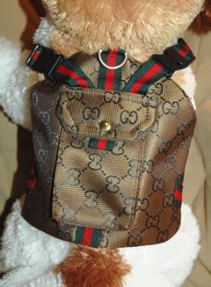 gucci dog collar backpack